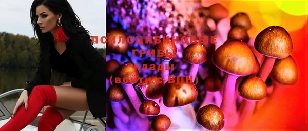 круглые Новозыбков