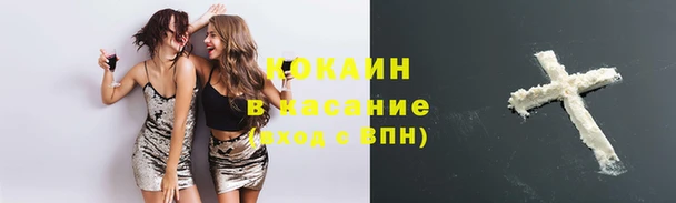 мет Новодвинск
