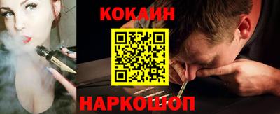 индика Кингисепп