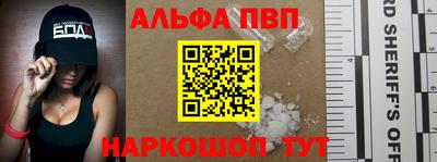 индика Кингисепп