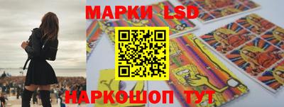 индика Кингисепп