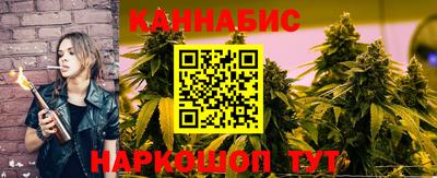 индика Кингисепп