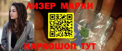 индика Кингисепп