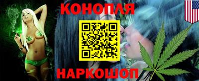 индика Кингисепп