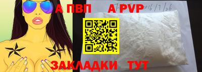 индика Кингисепп