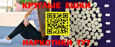 индика Кингисепп
