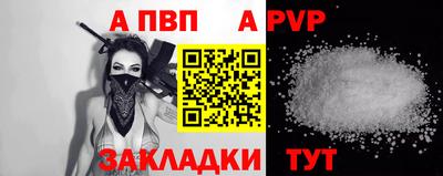 индика Кингисепп