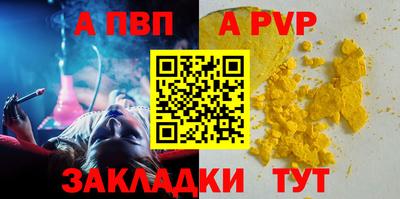 индика Кингисепп