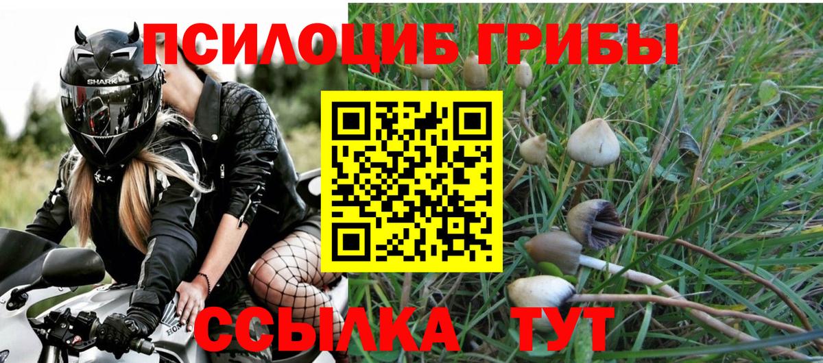 купить   Псилоцибиновые грибы Magic Shrooms  Вход с VPN  Кстово 