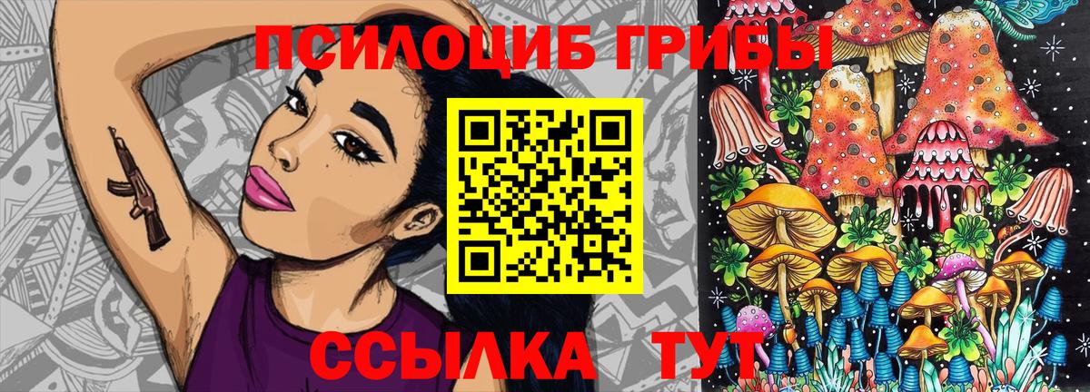 купить наркотики сайты  Кстово  Псилоцибиновые грибы мицелий 