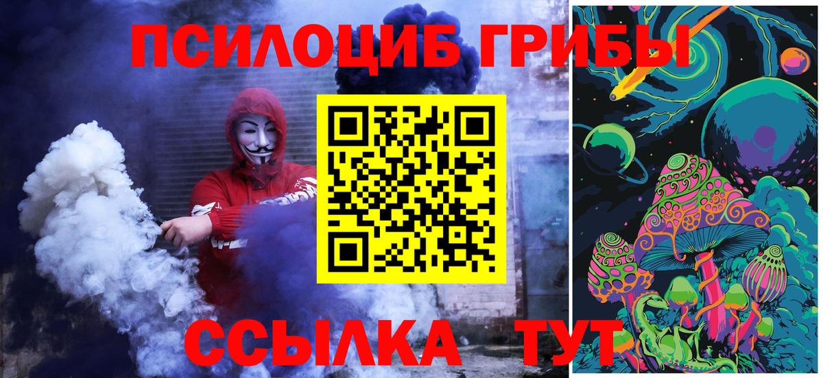 Псилоцибиновые грибы Psilocybe Кстово